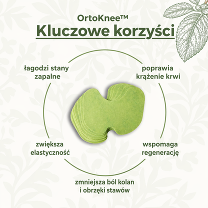 Zdrowe kolana - Naturalne plastry łagodzące ból kolan